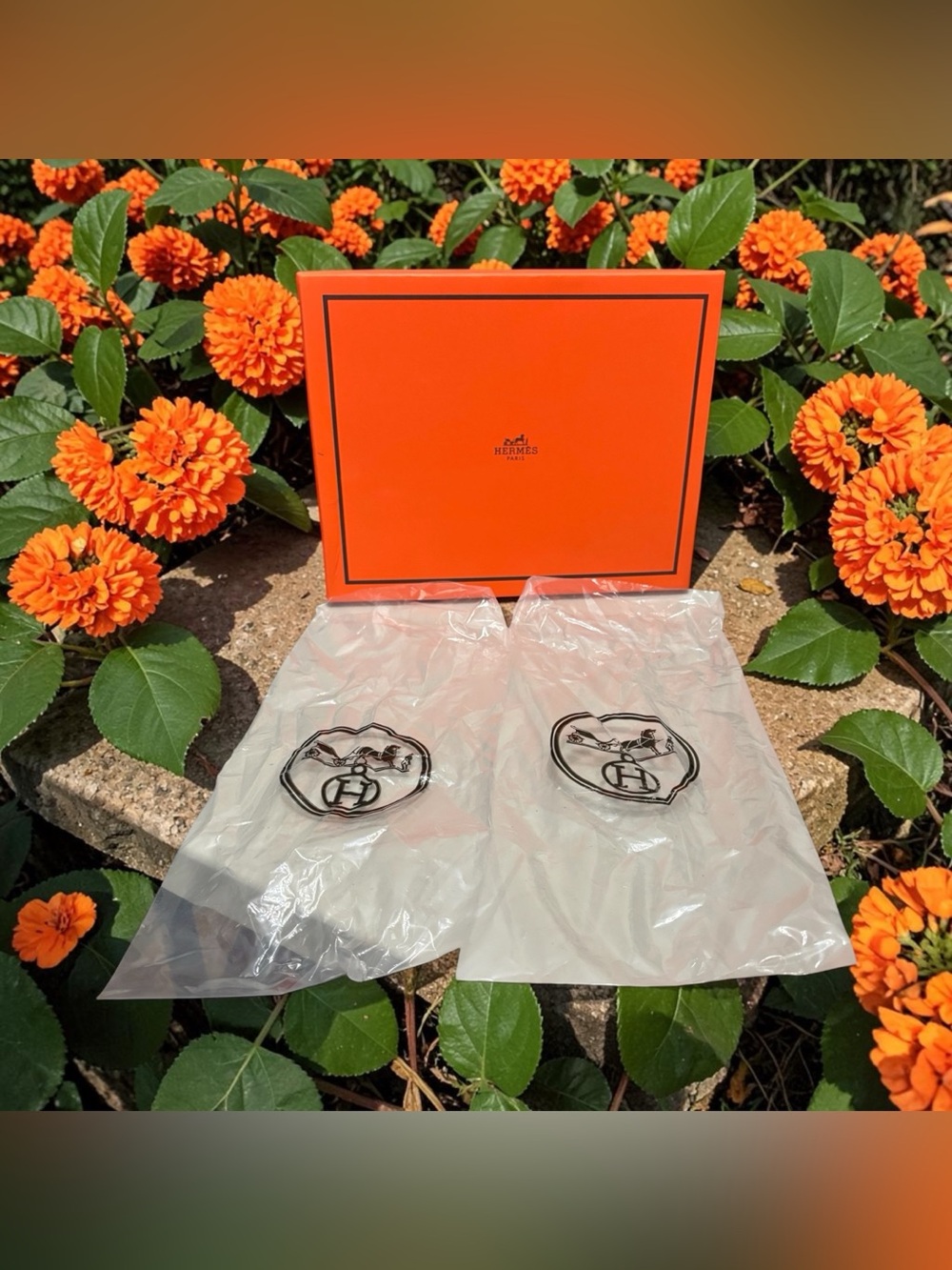 Hermes Paris Shoe Gift Box EMPTY Orange 2 Clear Plastic Shoe Bags 11”x 9”